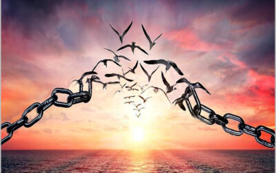 Alma de Motociclista